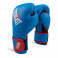 Детские боксерские перчатки everlast prospect синий